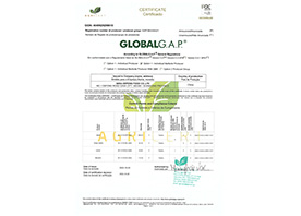 GLOBAL G.A.P.全球良好農業規范證書
